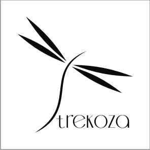 logo-strekoza