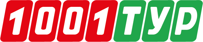 logo 1001turs new